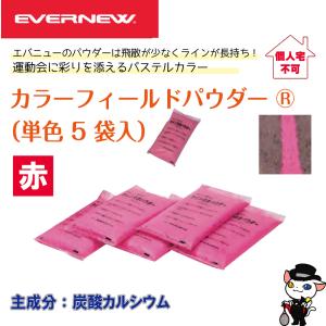 (送料別)(個人宅配送不可)EVERNEW エ...の詳細画像1