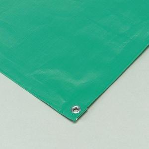 EVERNEW 砂場シート 5×10 EKA970の買取情報