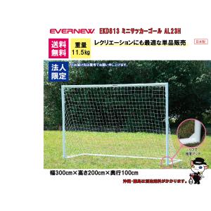 (法人様限定)EVERNEW エバニュー サッ...の詳細画像1