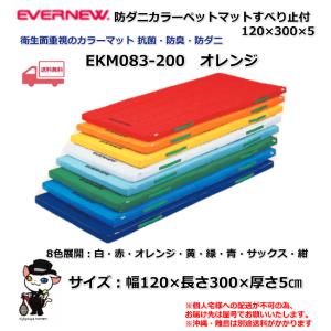 EVERNEW (個人宅配送不可)エバニュー EVERNEW 体操 体育 学校 屋内