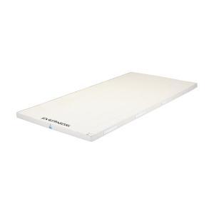 EVERNEW（エバニュー） (個人宅配送不可)エバニュー 体操マット 体育