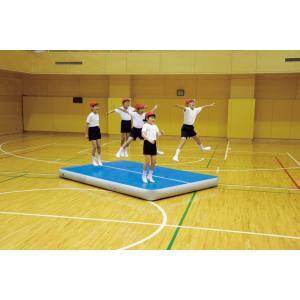 EVERNEW（エバニュー） (個人宅配送不可) 体操 エアートラックマット