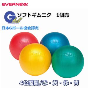 日本gボール協会認定ソフトギムニク バランスボール の商品一覧 エクササイズグッズ フィットネス トレーニング スポーツ 通販 Yahoo ショッピング
