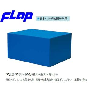 EVERNEW（エバニュー） (個人宅様配送不可)EVERNEW 学校 体操 マット