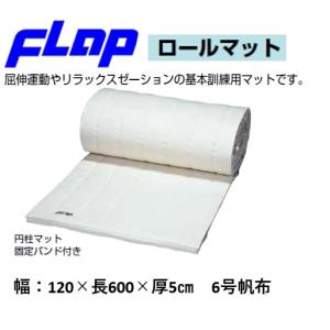 EVERNEW（エバニュー） (個人宅配送不可)エバニュー 体操マット 体育