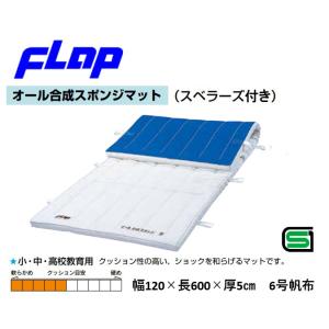 EVERNEW（エバニュー） (個人宅配送不可)エバニュー 体操マット 体育