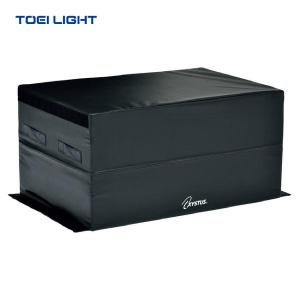 TOEI LIGHT（トーエイライト） (個人宅配送不可)(送料無料) 壁掛式