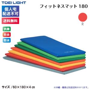 TOEI LIGHT（トーエイライト） (個人宅配送不可)(送料無料