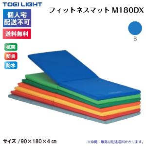 TOEI LIGHT（トーエイライト） (個人宅配送不可)(送料無料) 反復横とび