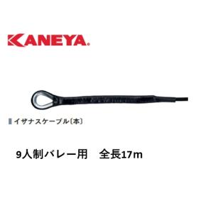 KANEYA（カネヤ） （送料無料）（個人宅配送不可） バレーボール