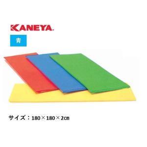 （送料無料）（個人宅配送不可）　KANEYA　カネヤ　エアロビクスマットL　180×180×2cm　...