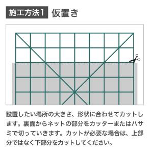 (沖縄・離島は販売不可) インテリア 壁面緑化...の詳細画像2