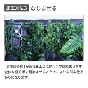 (沖縄・離島は販売不可) インテリア 壁面緑化...の詳細画像4