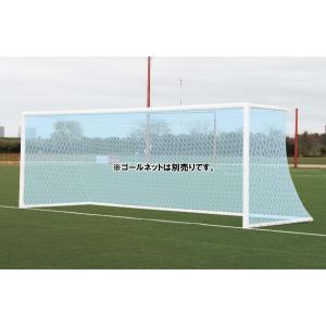 (法人様限定)(送料別)(三和体育)アルミサッカーゴールDX　一般用　ネット別売　S-0108　サッカー　φ120ｍｍ