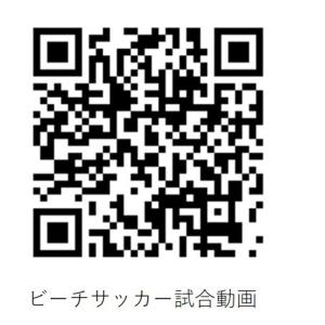 (法人様限定)(送料別)(三和体育)ビーチサッ...の詳細画像4