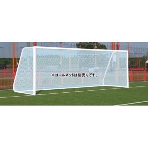 送料別)(個人宅配送不可)AKABANE サッカーゴール ジュニアサッカー