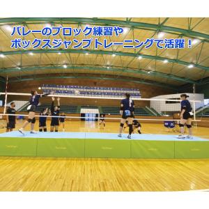 バレーボール3個 volleyballassist_v4m5l-v400wl-6-n