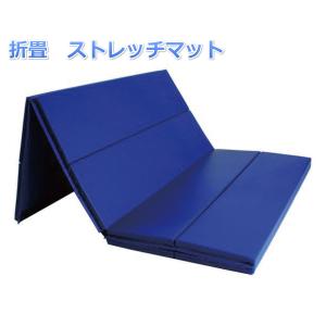 TOEI LIGHT（トーエイライト） (個人宅配送不可)(送料別) エクササイズ