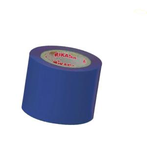 SANWA TAIKU （送料無料）(法人様限定)(三和体育)学校 体育 サッカー