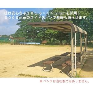 EVERNEW（エバニュー） 得点板E-11W 得点板 送料無料 EKU511 : 琥珀