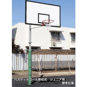 (送料別)(個人宅配送不可)(三和体育)　バスケットボール　バスケットゴール　単柱式　ジュニア用　標準仕様　Ｓ-4817