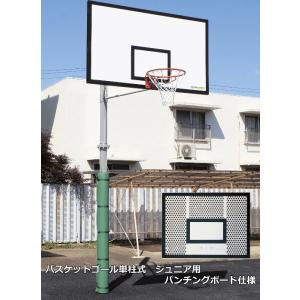 (送料別)(個人宅配送不可)(三和体育)　バスケットボール　バスケットゴール　単柱式　ジュニア用　パンチングボード仕様　Ｓ-4818