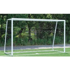 (送料別)(法人様限定)ブラインドサッカーゴール 専用ネット付(1組)　2台1組(三和体育)S-4819