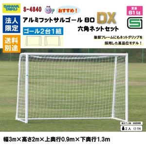 (送料別)(個人宅配送不可)(三和体育) アル...の詳細画像1