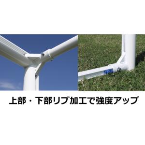 (送料別)(個人宅配送不可)(三和体育) アル...の詳細画像2