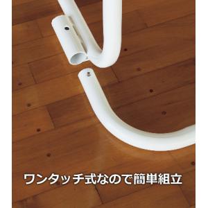 (送料別)(個人宅配送不可)(三和体育) アル...の詳細画像4