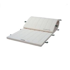 SANWA TAIKU (三和体育)体操マット 運動マット 学校 体育用具 スポーツ