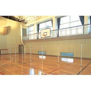 三和体育 簡易式低鉄棒 DX型(屋内外兼用) 学校 体育用品 送料無料 S