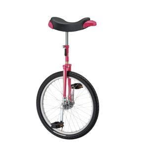 SANWA TAIKU (送料別)(三和体育)カラー一輪車(スタンド付) グリーン