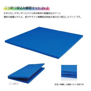 (個人宅配送不可)(送料無料) トーエイライト...の詳細画像2