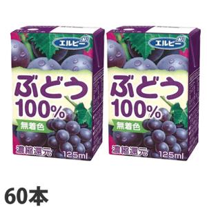 エルビー ぶどう100％ 125ml×60本｜kilat