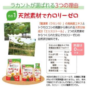 ラカントS 800g 顆粒 増量品 サラヤ ラ...の詳細画像3