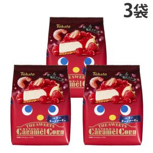 『賞味期限:26.09.24』キャラメルコーン ...の商品画像