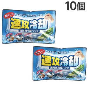 保冷剤 速攻冷却 10個