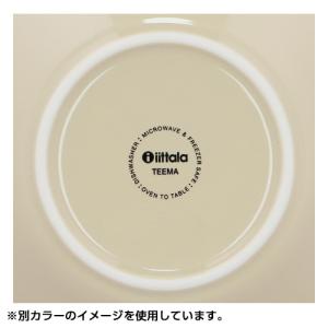『並行輸入品』イッタラ ティーマ ボウル 21...の詳細画像4