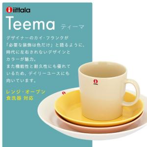 iittala イッタラ Teema ティーマ...の詳細画像5