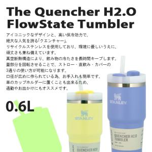 『並行輸入品』 スタンレー クエンチャー H2...の詳細画像5
