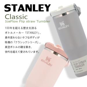 『並行輸入品』 スタンレー アイスフロー フリ...の詳細画像4