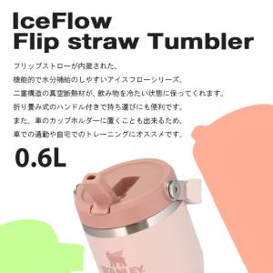 『並行輸入品』 スタンレー アイスフロー フリ...の詳細画像5