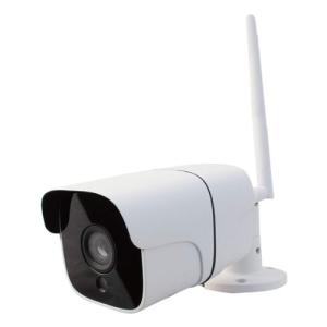 ダイトク 防犯カメラ Dive-yBOT-AI(ダイビー ボット アイ) クリムゾン