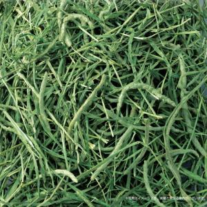 ジェックス 香りきわだつ おいしいチモシー 6...の詳細画像1