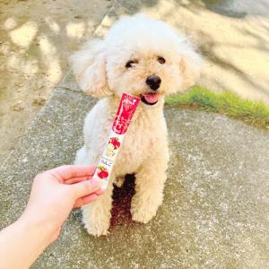 『お1人様1セット限り』『ゆうパケット配送』ぺ...の詳細画像3