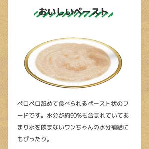 『ポイント10倍』ちゅーる 犬 いなば 旅する...の詳細画像4