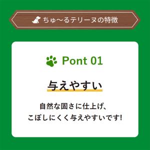 『ポイント10倍』ちゅーる テリーヌ お肉・チ...の詳細画像2