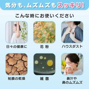 ハナリラ 鼻うがい 容器 洗浄剤10包付 ミン...の詳細画像3
