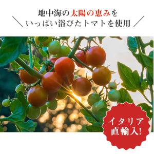 トマト缶 48缶 400g カット カットトマ...の詳細画像3